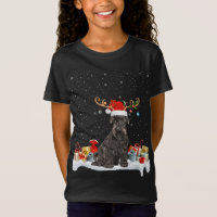 Drôle Éclairage de Noël renne Santa Hat Schnauzer