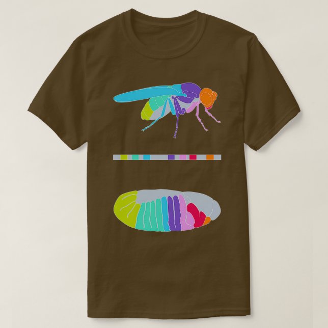 T-shirt Drosophila Hox Genes (Design devant)