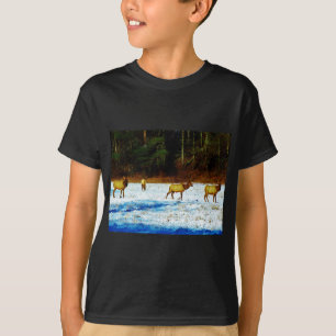 T-SHIRT DSC00131.JPG