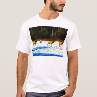 T-SHIRT DSC00131.JPG