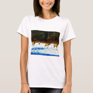 T-SHIRT DSC00131.JPG