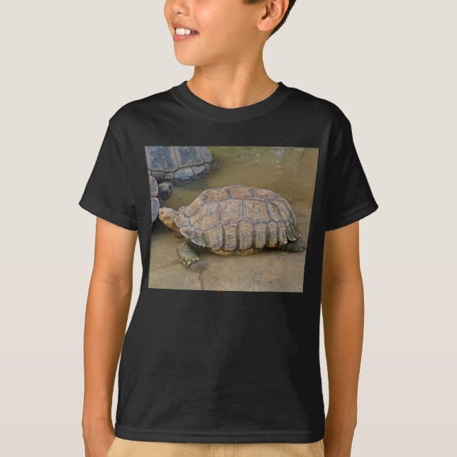 T-shirt DSC05748 pour betsy (Devant)