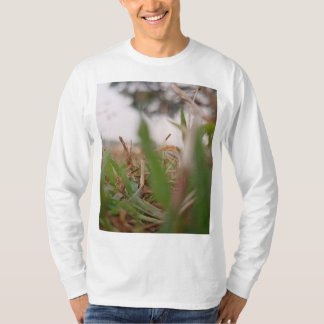 T-shirt du groupe Satyam