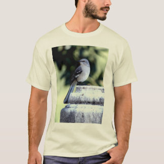 T-shirt du sud de moqueur