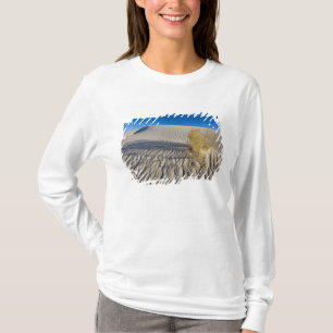 T-shirt Dunes de sable à White Sands National Monument en