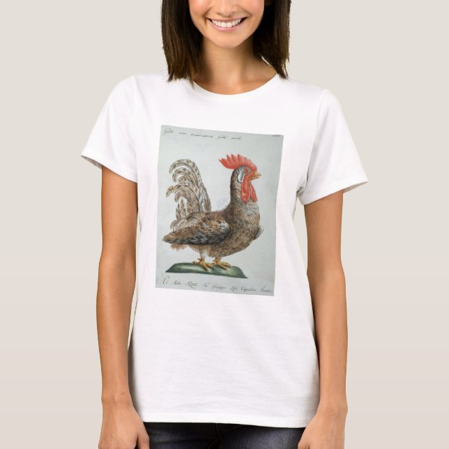 T-shirt Dwarf Cockerel, c.1767-76 (gravure à la main) (Devant)