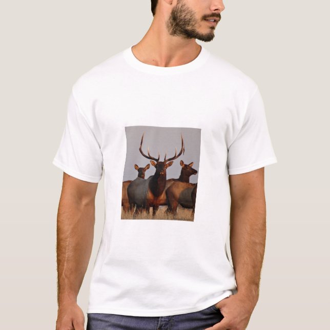 T-shirt E66 Elcs et vaches taureaux (Devant)