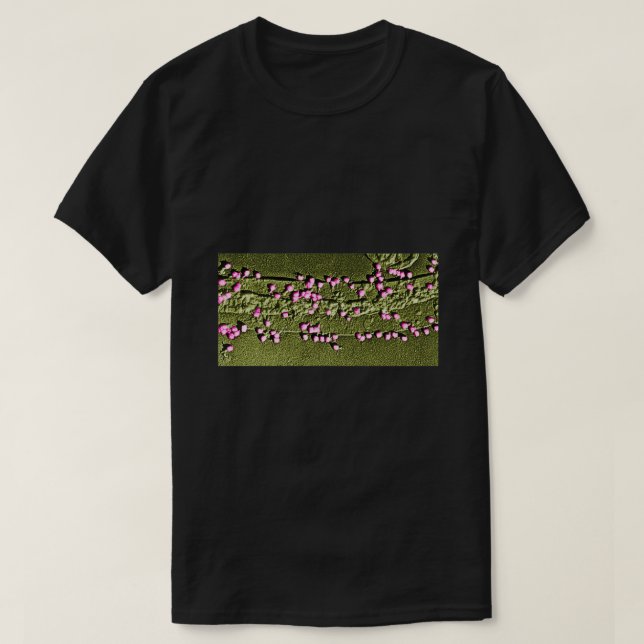 T-shirt E Mur de cellule de froid avec bactériophages 1 (Design devant)