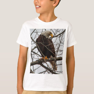 T-shirt Eagle chauve