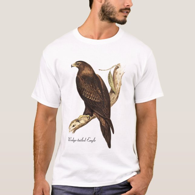 T-shirt Eagle coupé la queue par cale. Un oiseau de proie (Devant)