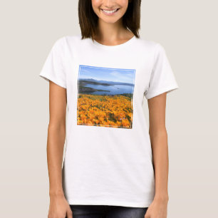 T-shirt Eau Lac California Avec Des Pépites D'Or
