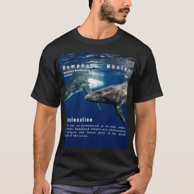 T-shirt Écholocation des baleines à bosse Fait amusant (Devant)
