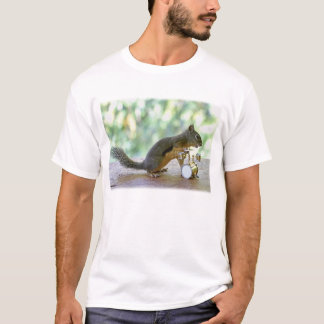 T-shirt Écureuil jouant des tambours