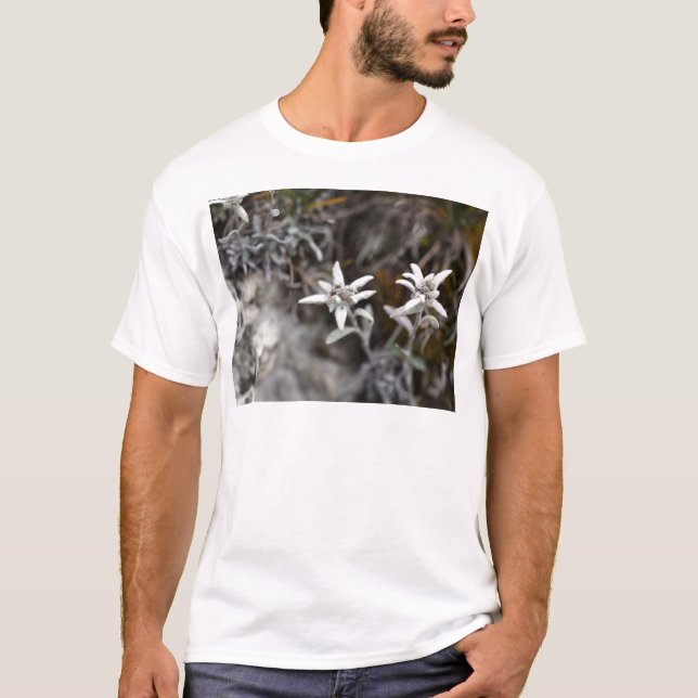 T-shirt Edelweiss alpin (Devant)