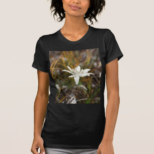 T-shirt Edelweiss alpin