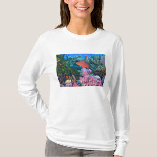 T-shirt éducation Pseudanthias (Pseudanthias