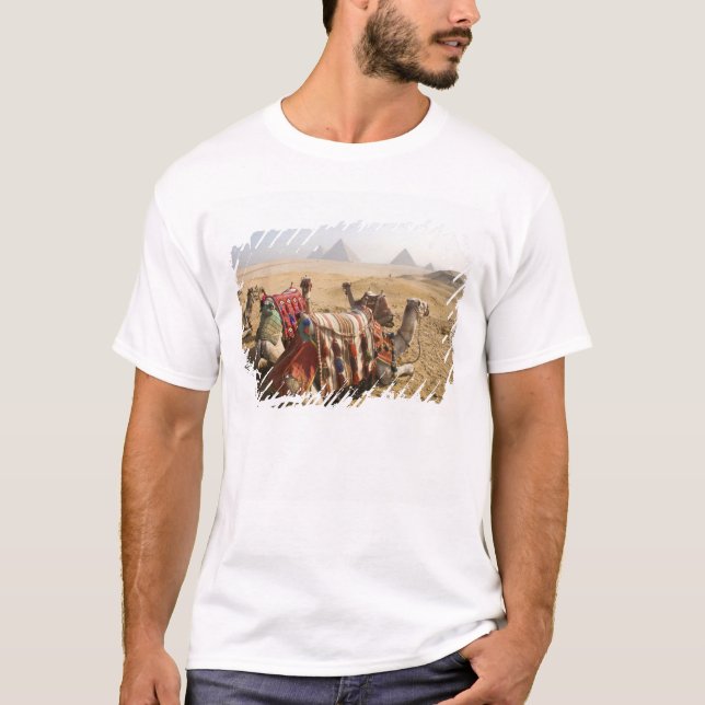 T-shirt Égypte, Le Caire. Chameaux au repos (Devant)