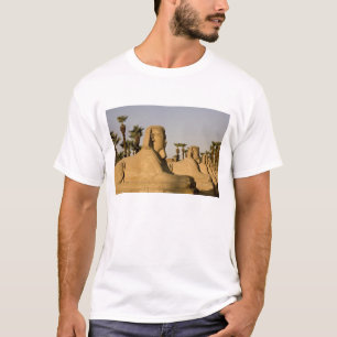 T-shirt Égypte, Louxor. L'Allée des Sphinx mène à