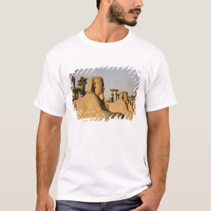 T-shirt Égypte, Louxor. L'Allée des Sphinx mène à