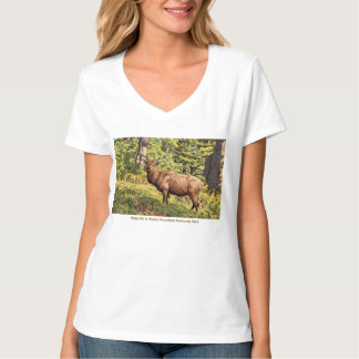T-shirt Élan mâle dans le parc national de Rocky Mountain 