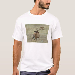 T-shirt Élan mâle E6 en velours