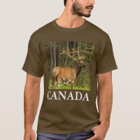 Élan mâle en velours, Canada