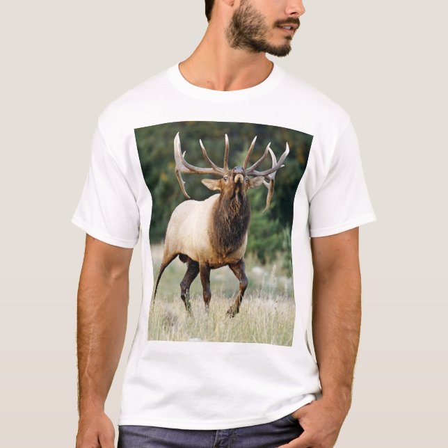 T-shirt Élans 3 de Bugleing, "appel du sauvage " (Devant)