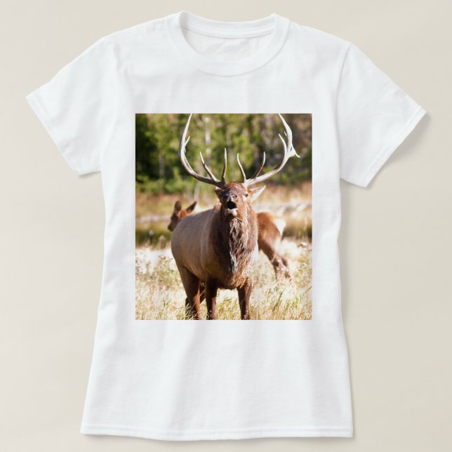 T-shirt Élans Bugling (Design devant)