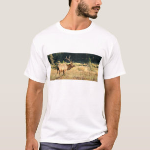 T-shirt Élans de Taureau en parc de montagne rocheuse