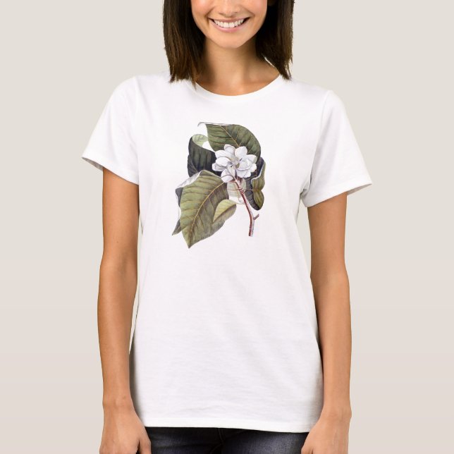 T-shirt Élégante Fleur de Magnolia Blanc Sud (Devant)