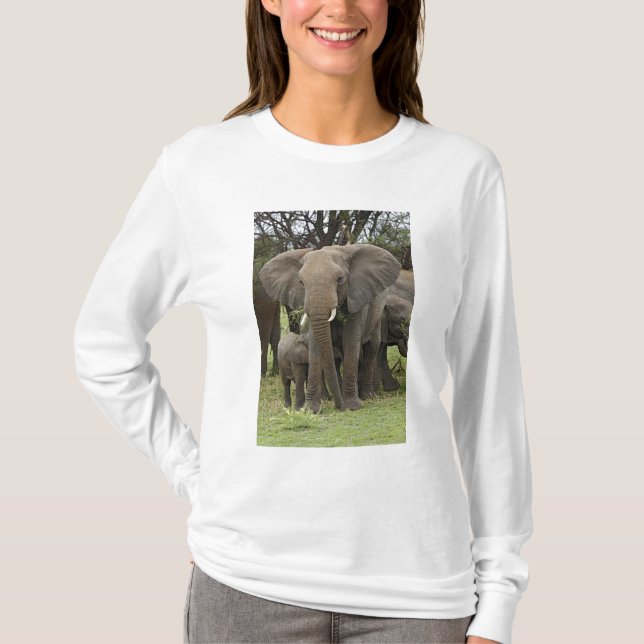 T-shirt Éléphant d'Afrique | Troupeau (Devant)
