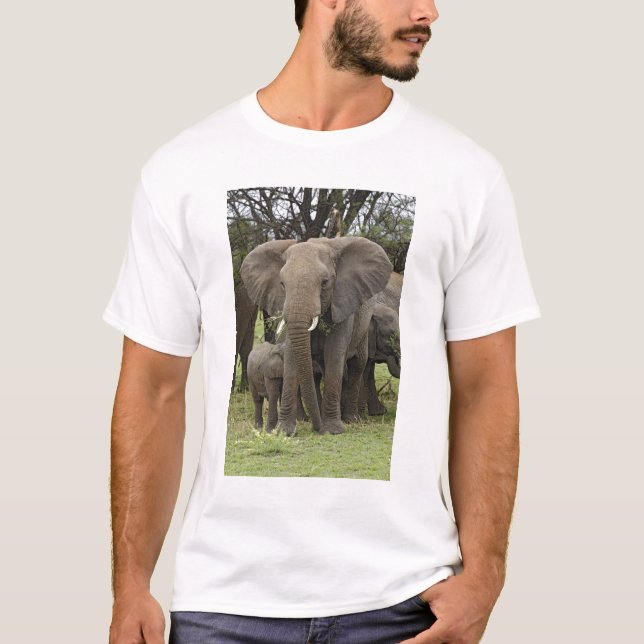 T-shirt Éléphant d'Afrique | Troupeau (Devant)