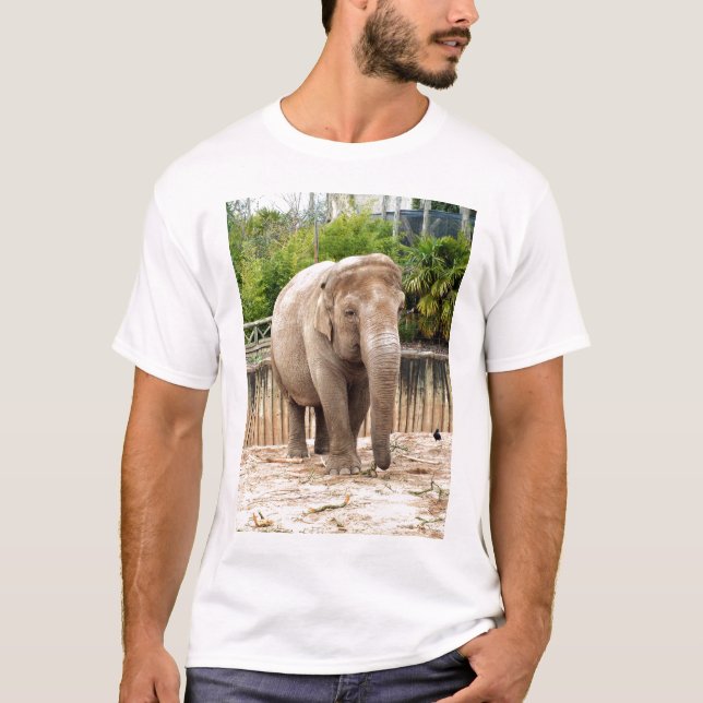 T-shirt éléphant indien (Devant)