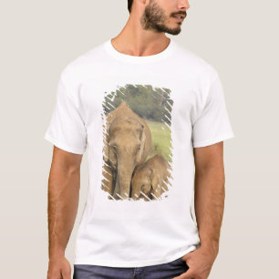 T-shirt Eléphant indien / asiatique et jeune, Corbett