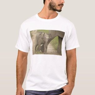 T-shirt Éléphant indien / asiatique et jeune, Corbett 2