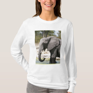 T-shirt Éléphant (Loxodonta africana), chenal de Savute