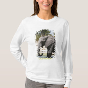 T-shirt Éléphant (Loxodonta africana), chenal Savute