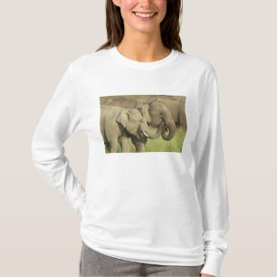 T-shirt Éléphants asiatiques indiens