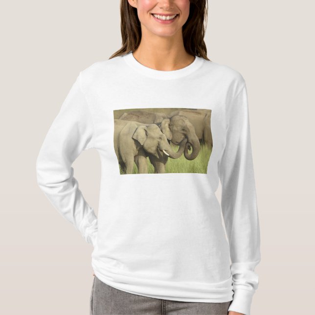 T-shirt Éléphants asiatiques indiens (Devant)