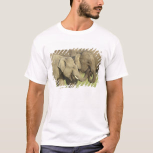 T-shirt Éléphants asiatiques indiens