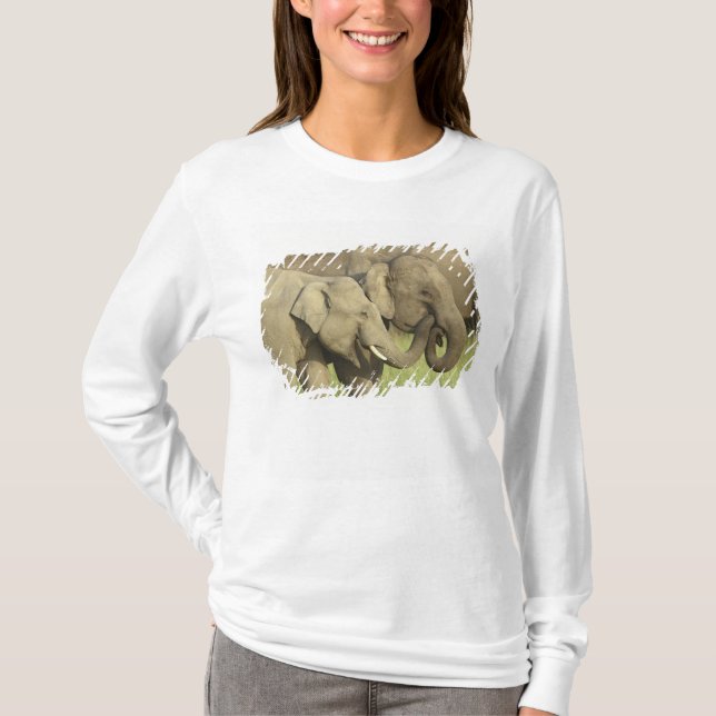 T-shirt Éléphants asiatiques indiens (Devant)