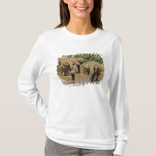 T-shirt Éléphants d'Afrique, Loxodonta Africana, Samburu
