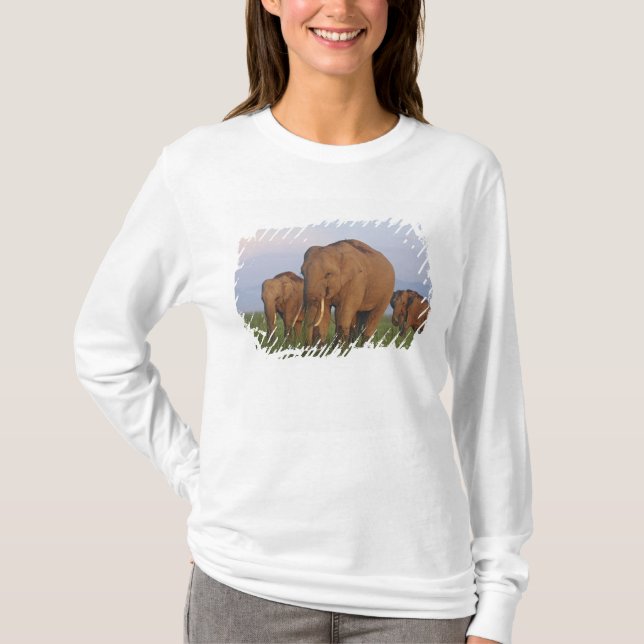 T-shirt Éléphants indiens dans la prairie (Devant)