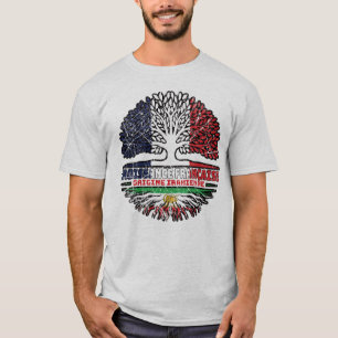 T-shirt Élevé en France, racines iraniennes – Lion et Sole