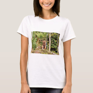 T-shirt Elk mâle dans le parc national des Rocheuses, Colo