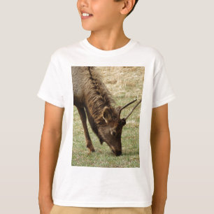 T-shirt Elk sauvage