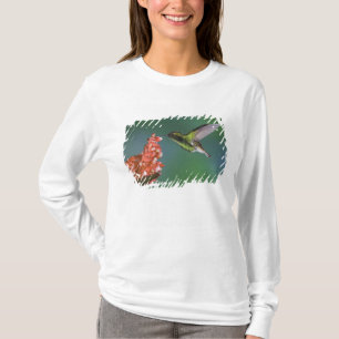 T-shirt Émeraude à tête cuivrée, Elvira cupreiceps,