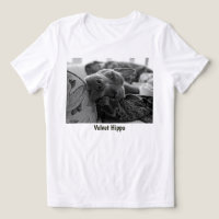 Amour de Pit Bull Velours Hippopotame