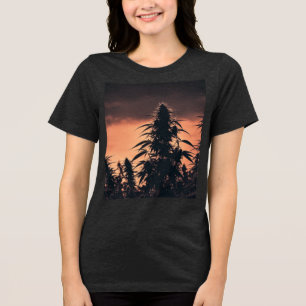 T-shirt En Tri-matière Augmentez votre style avec la silhouette de Cannab