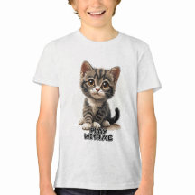 Kitten qui fond le coeur